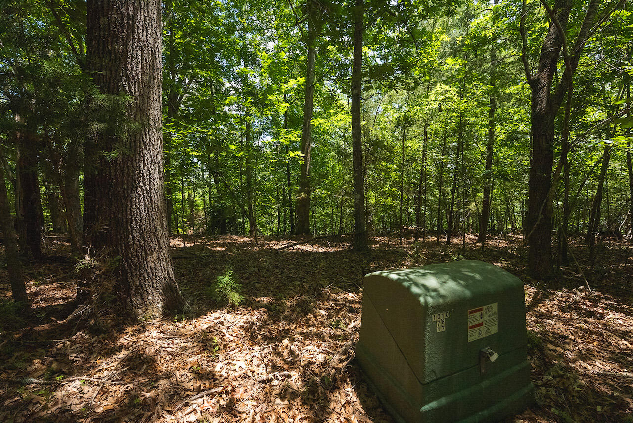 Runaway Bay Rd, Lynch Station, Virginia image 20