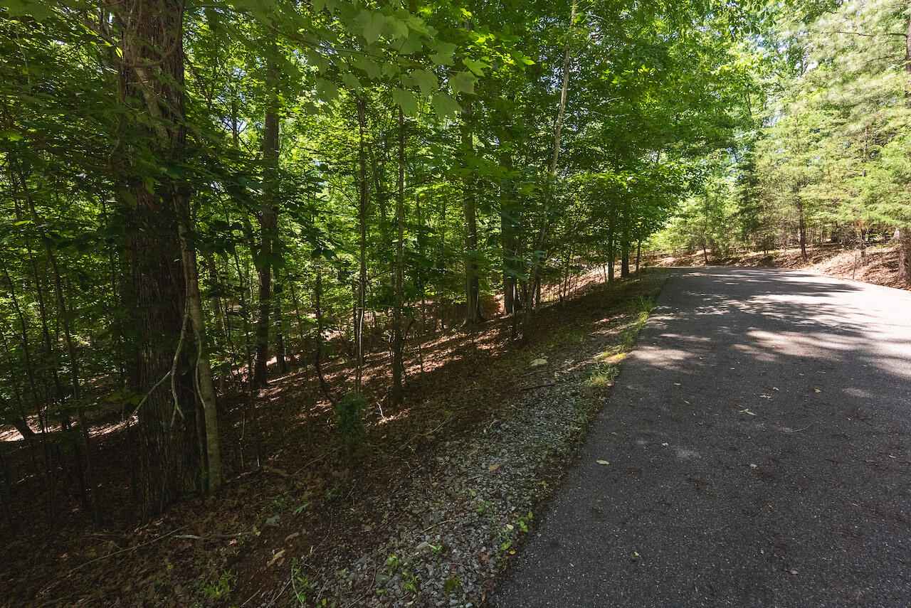 Runaway Bay Rd, Lynch Station, Virginia image 18