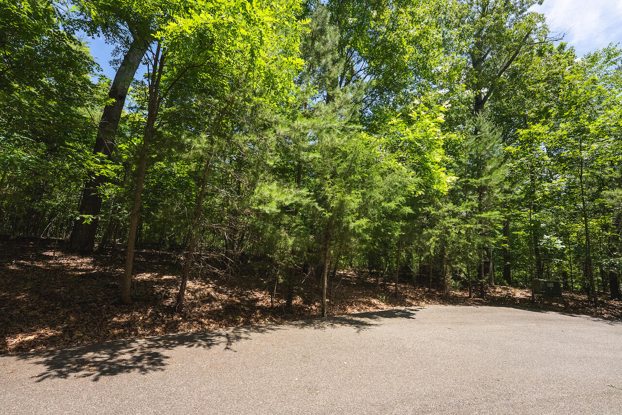 Runaway Bay Rd, Lynch Station, Virginia image 19