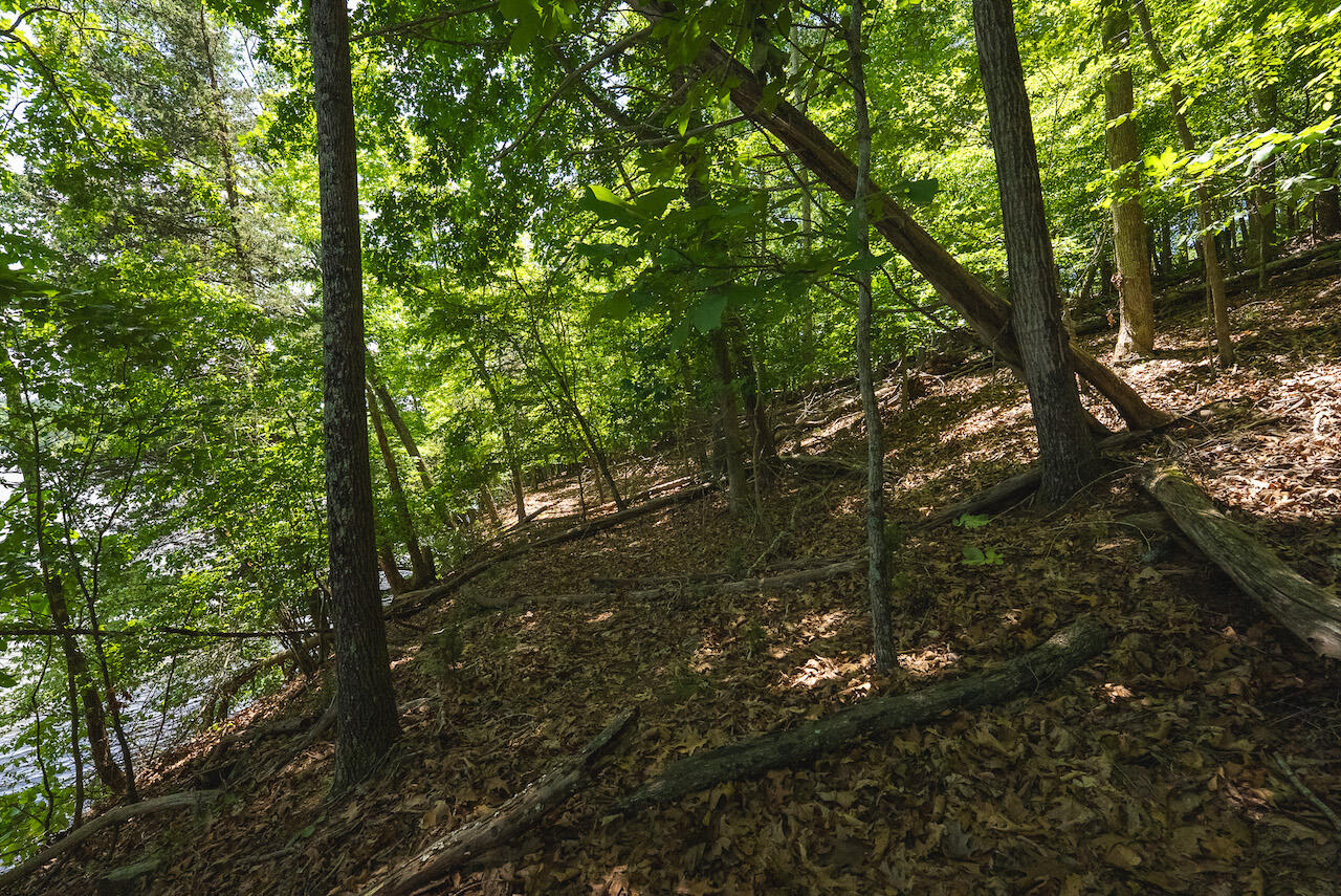 Runaway Bay Rd, Lynch Station, Virginia image 25