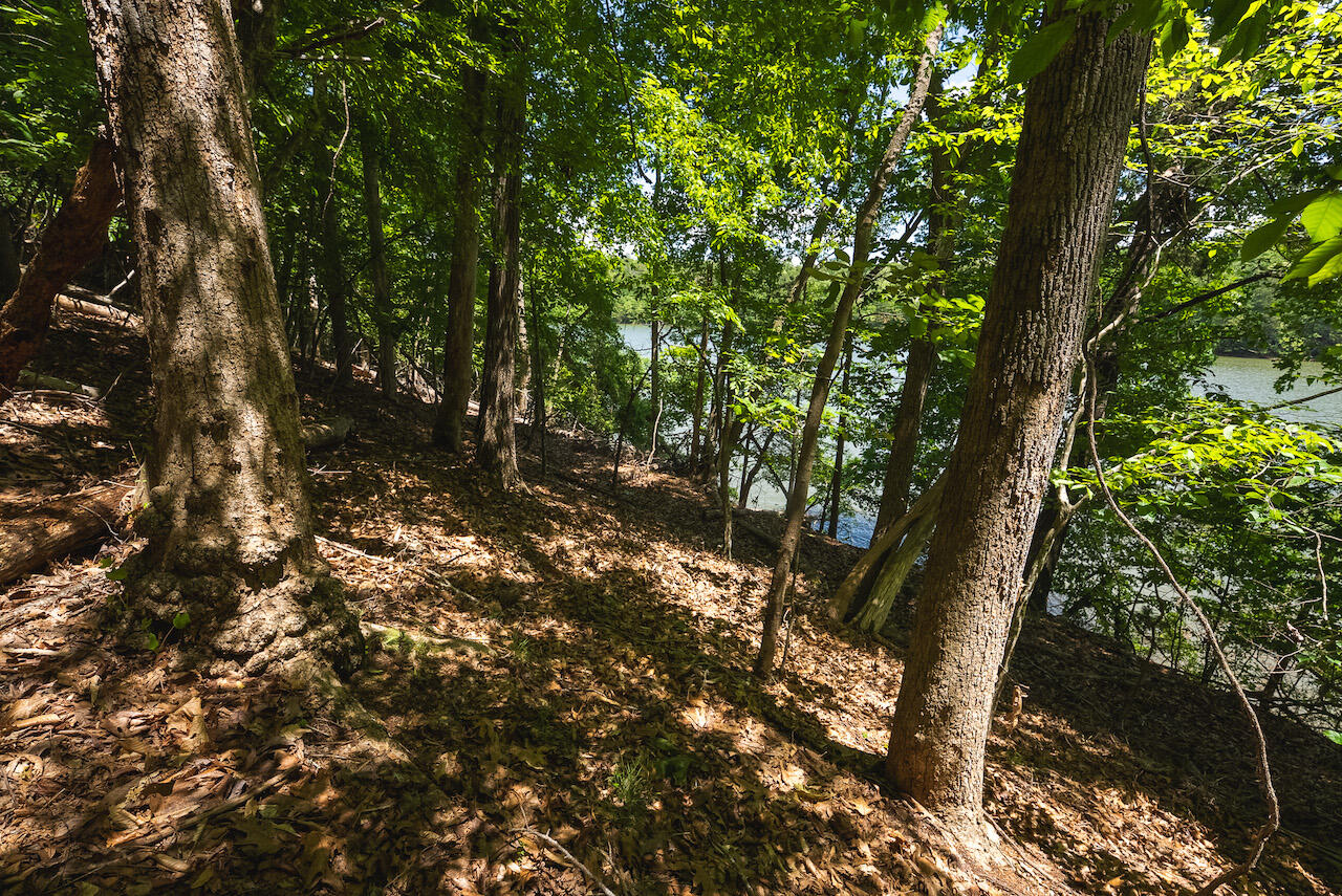 Runaway Bay Rd, Lynch Station, Virginia image 24