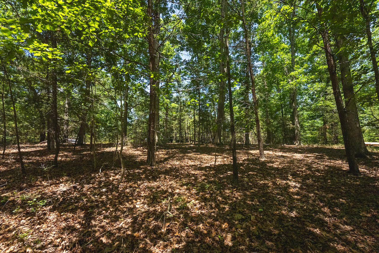 Runaway Bay Rd, Lynch Station, Virginia image 14