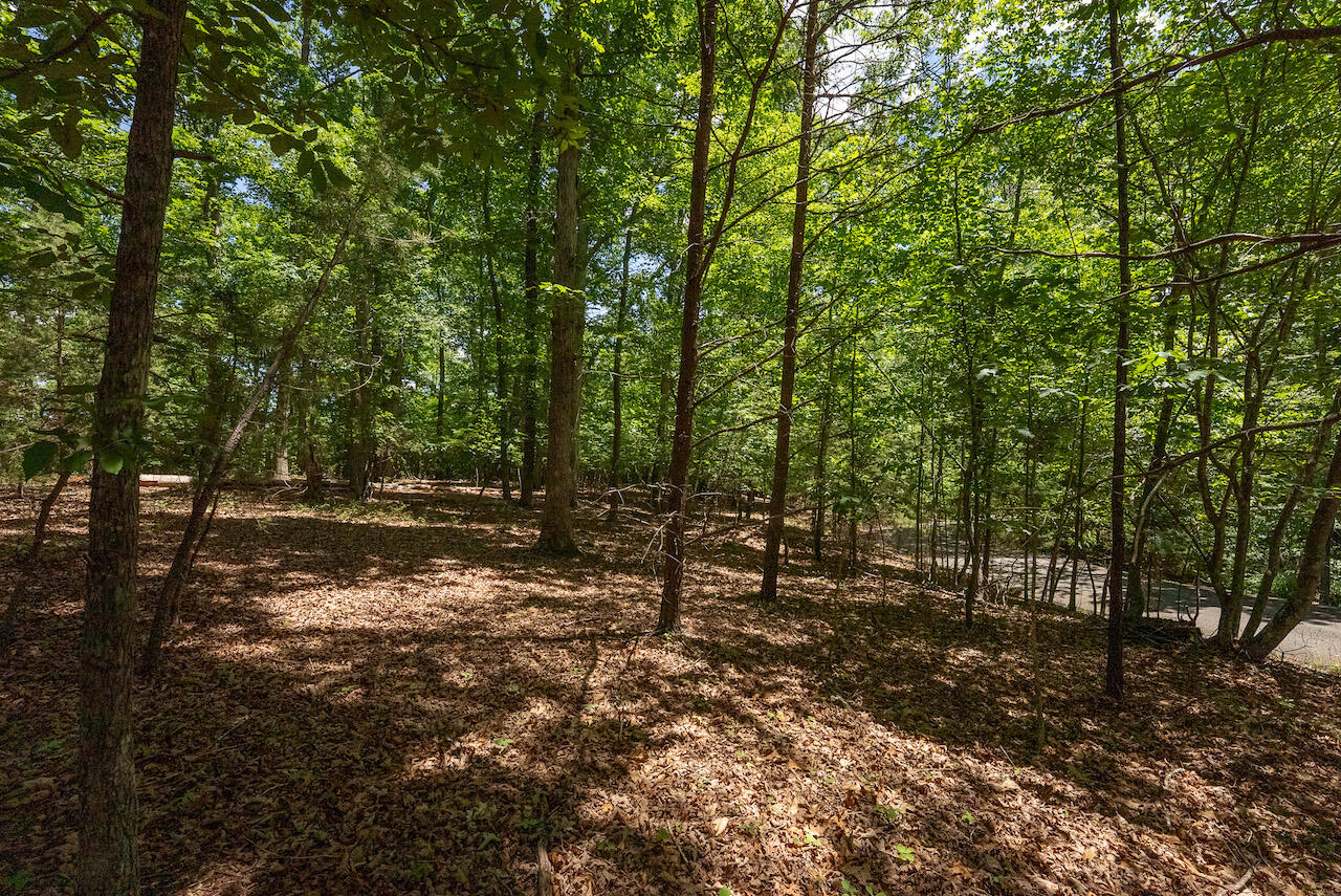 Runaway Bay Rd, Lynch Station, Virginia image 12