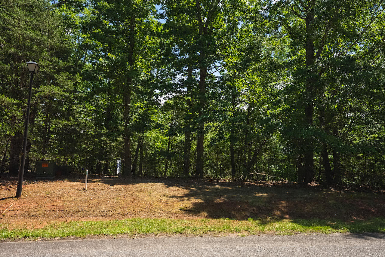 Runaway Bay Rd, Lynch Station, Virginia image 10