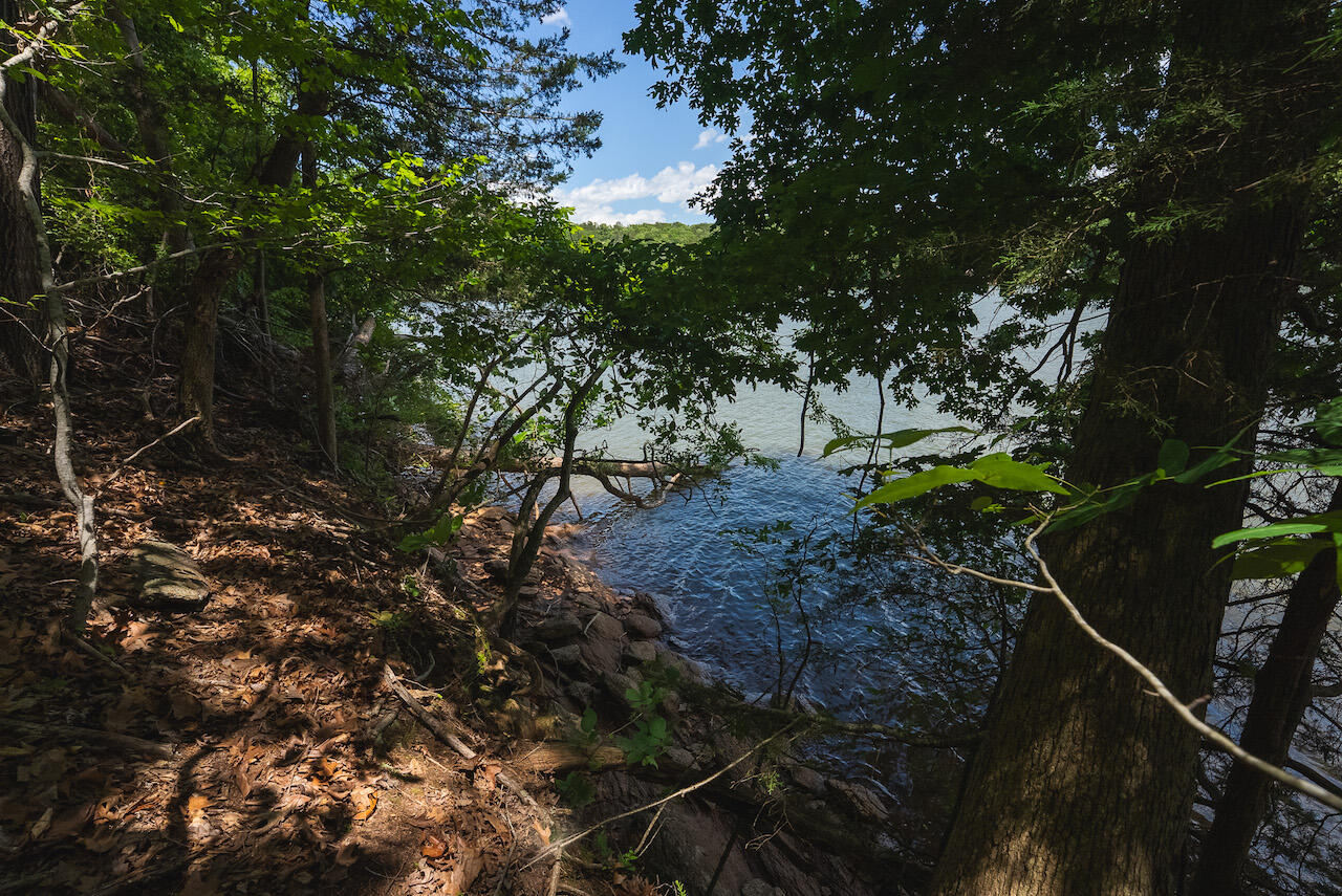 Runaway Bay Rd, Lynch Station, Virginia image 26