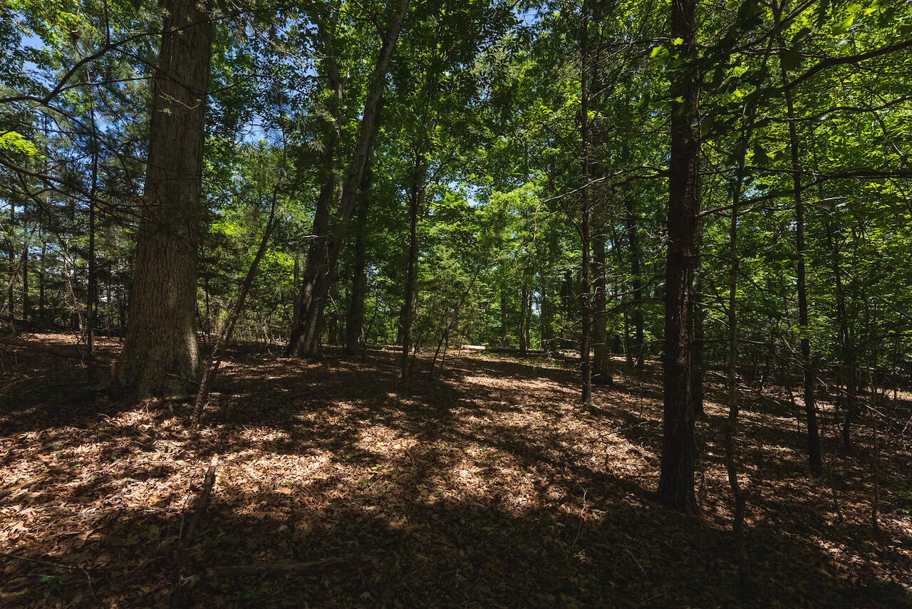 Runaway Bay Rd, Lynch Station, Virginia image 11