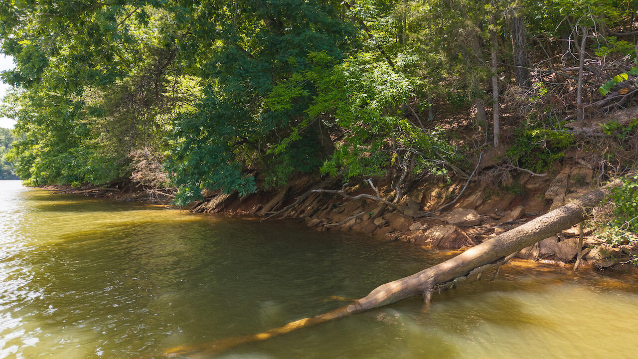 Runaway Bay Rd, Lynch Station, Virginia image 3