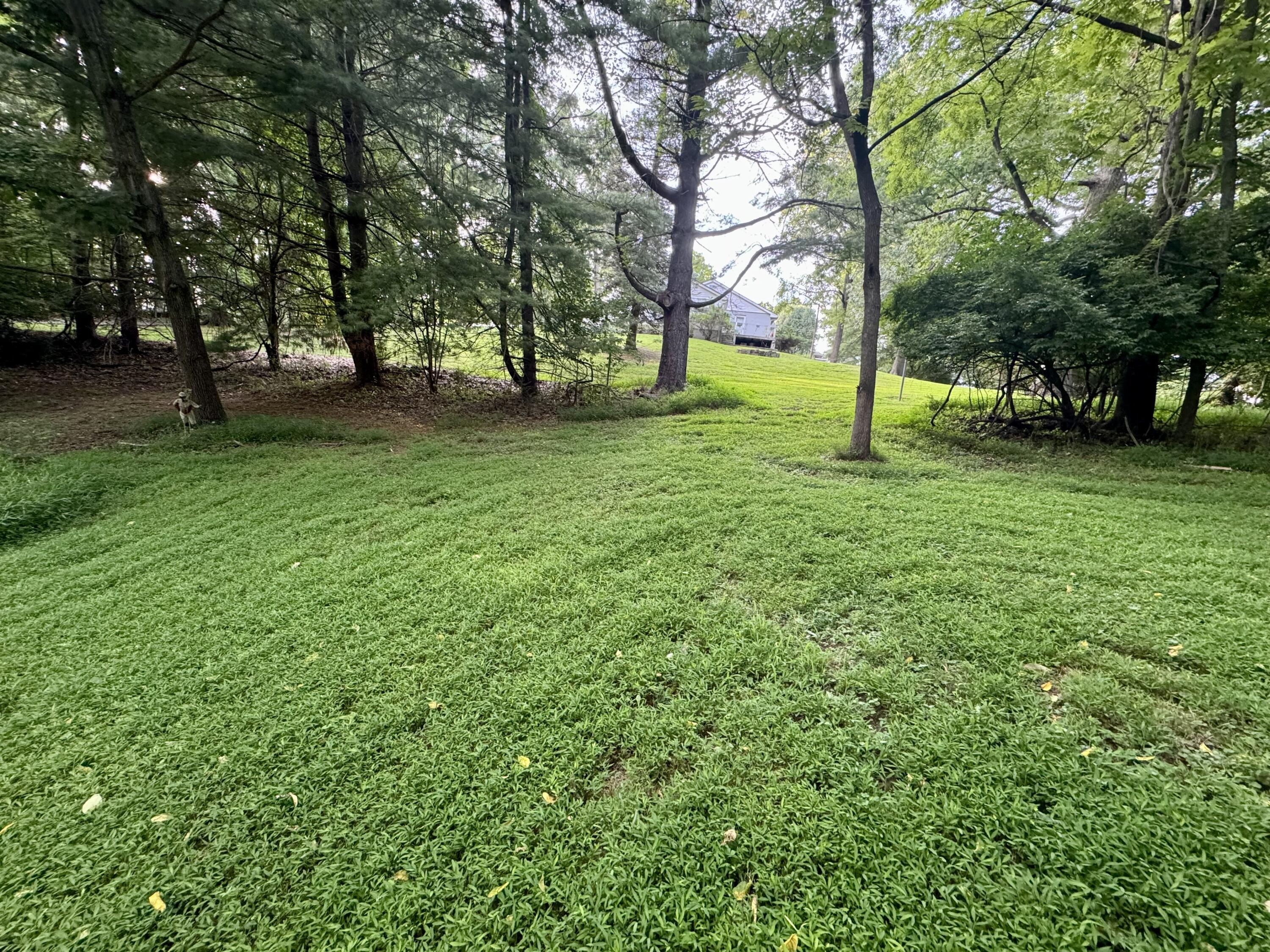 Beth Scott Dr, Pulaski, Virginia image 1