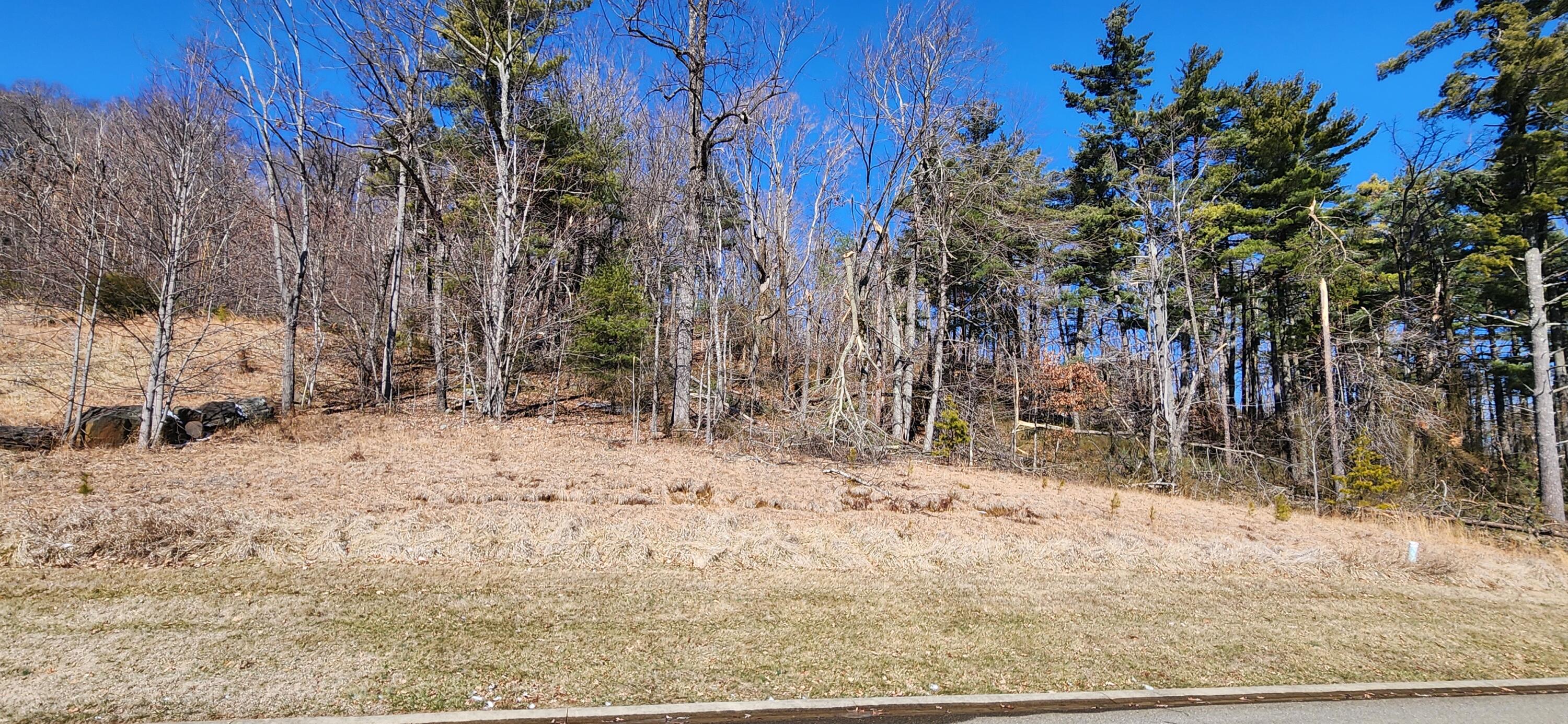 Lot 26 Summit Dr, Rocky Mount, Virginia image 1