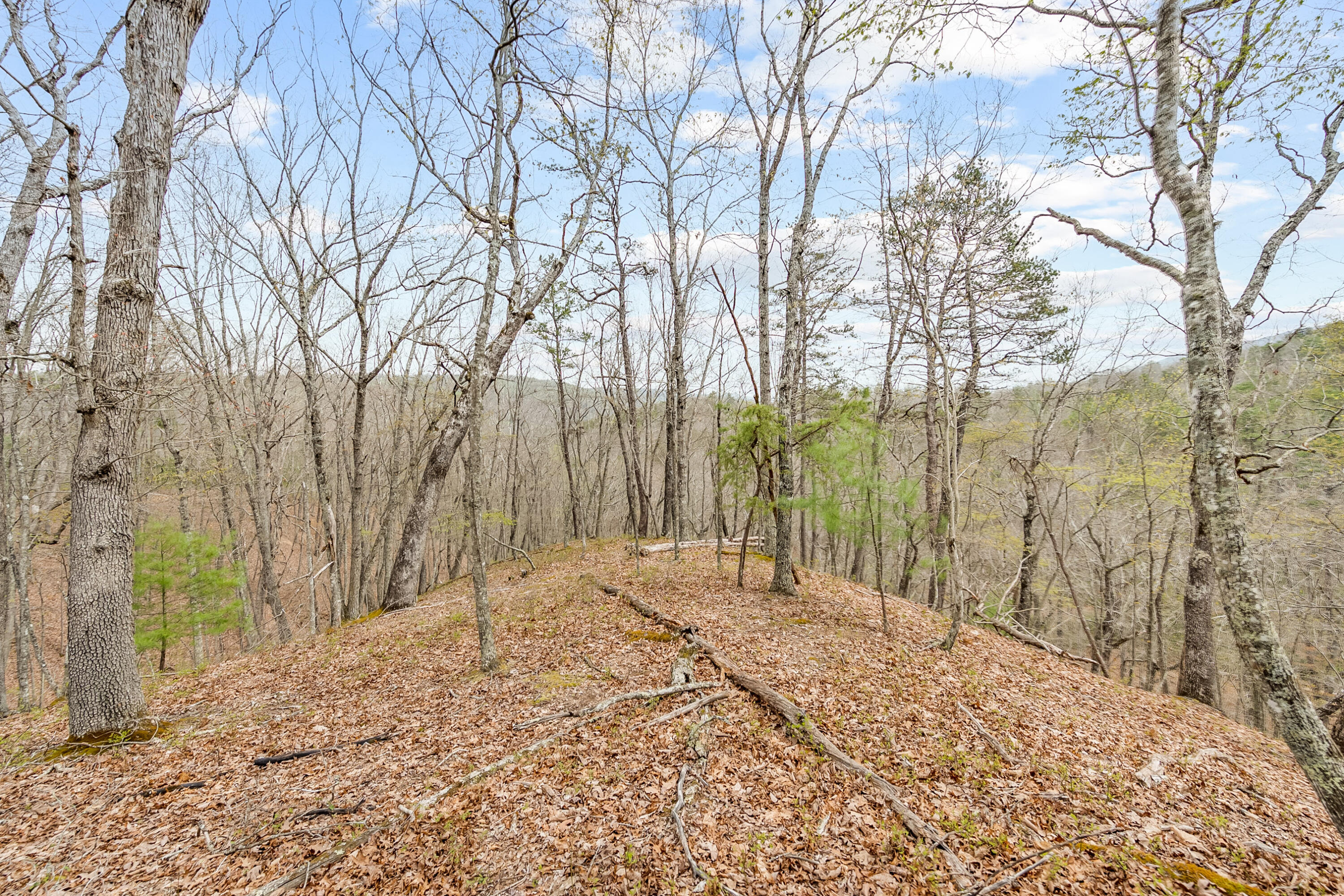 TBD Black Diamond Dr, New Castle, Virginia image 9