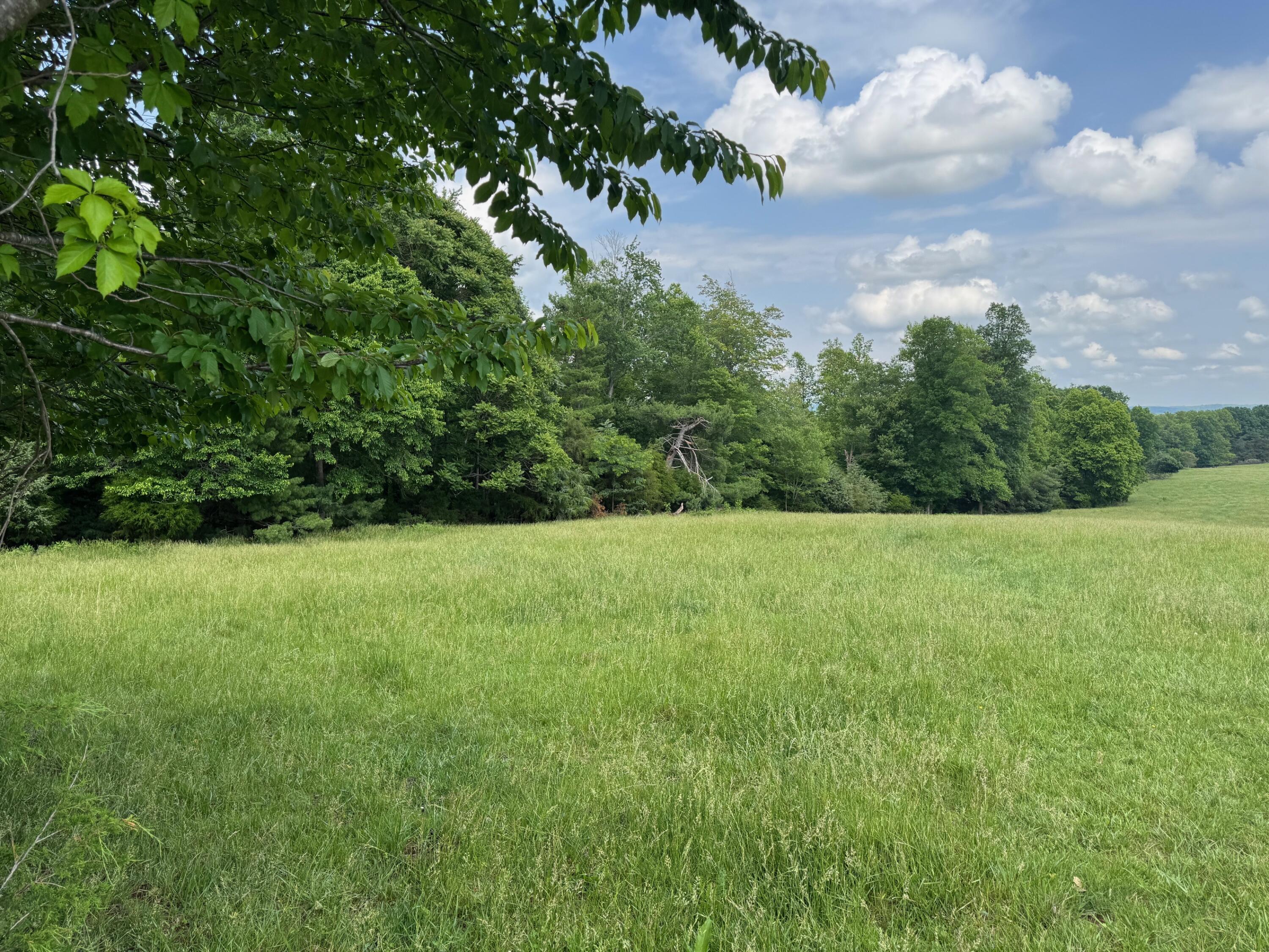 1366 Ashpone Tavern Rd, Rocky Mount, Virginia image 4