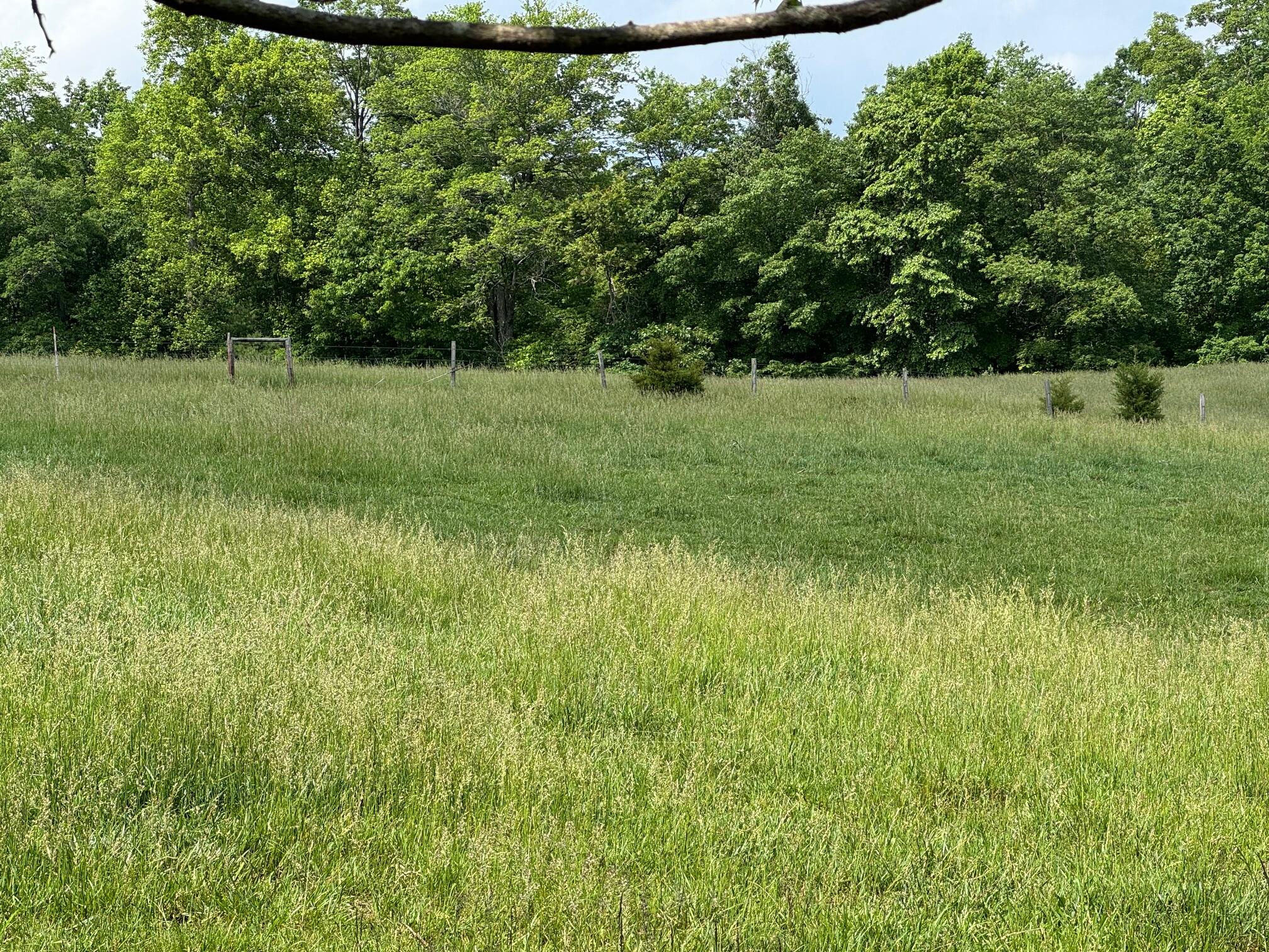1366 Ashpone Tavern Rd, Rocky Mount, Virginia image 11