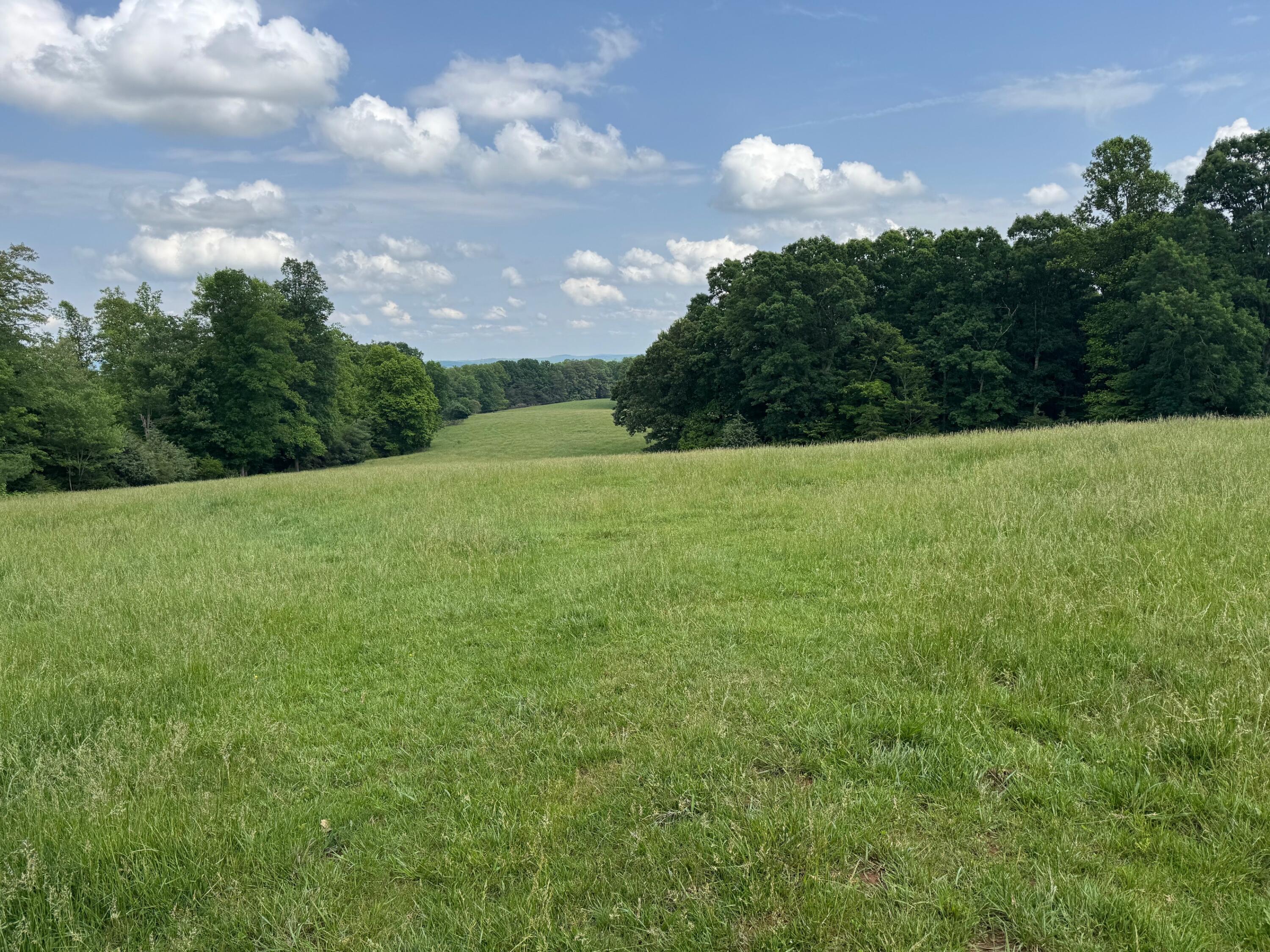 1366 Ashpone Tavern Rd, Rocky Mount, Virginia image 3