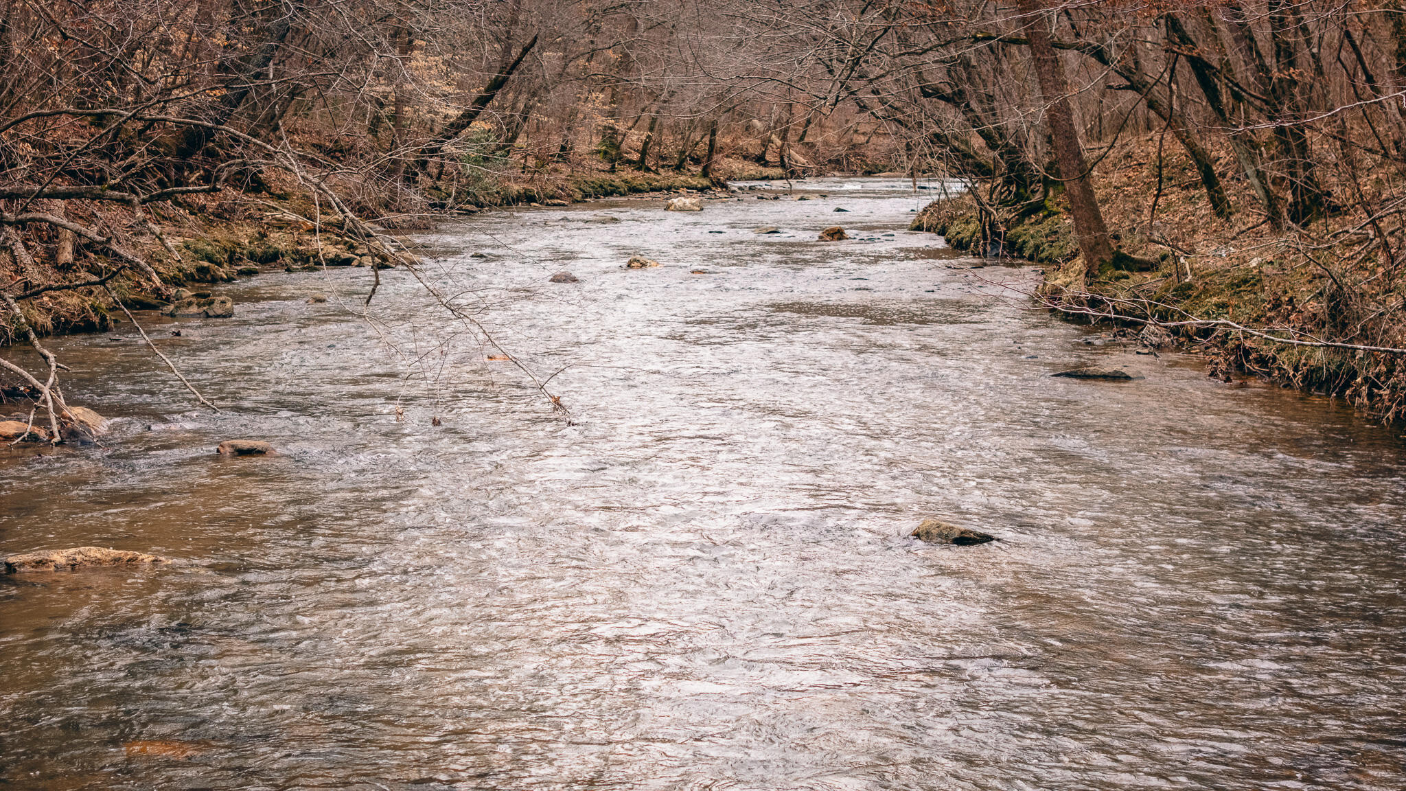 Pepper Rd, Rocky Mount, Virginia image 1
