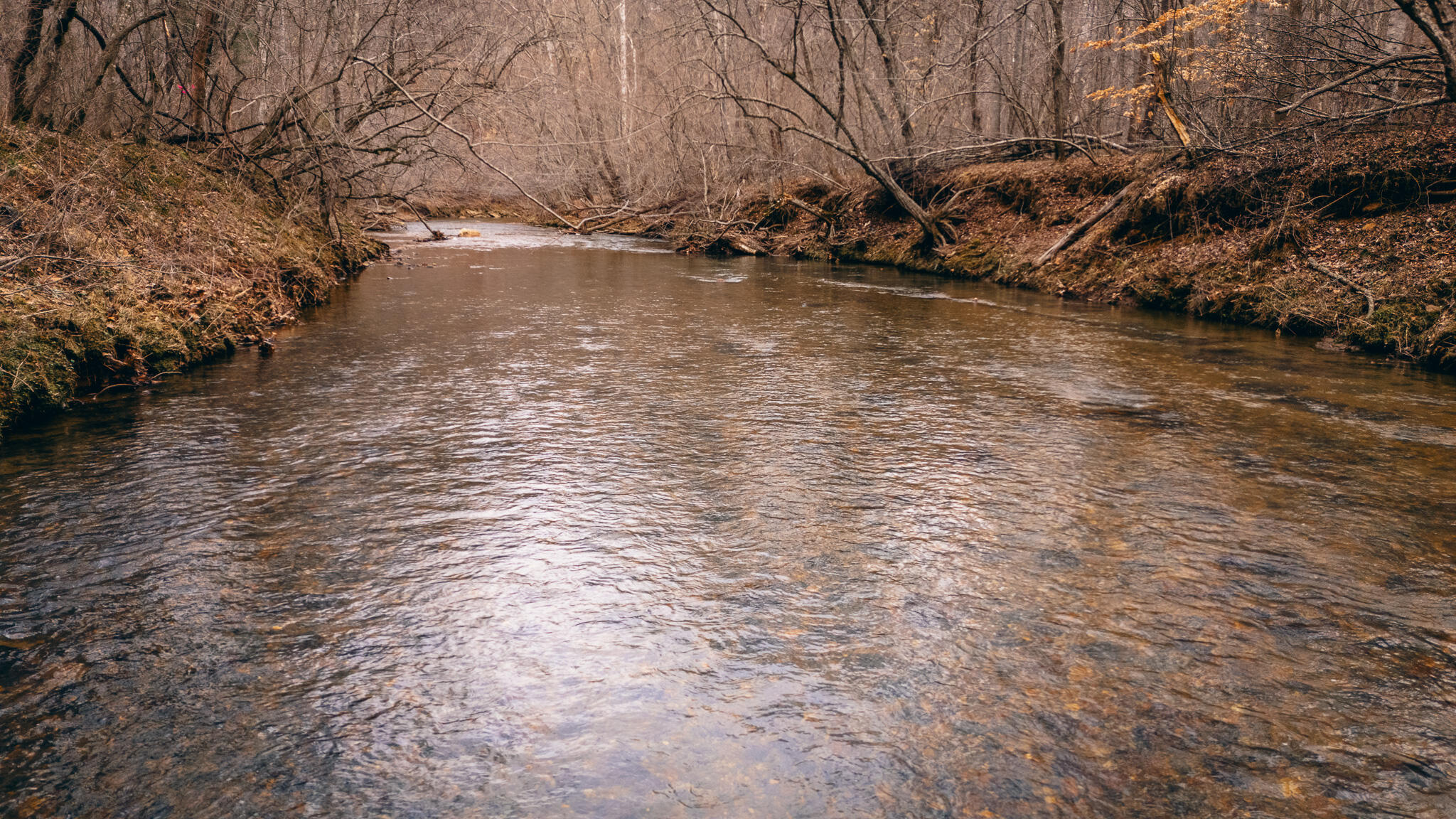 Pepper Rd, Rocky Mount, Virginia image 11