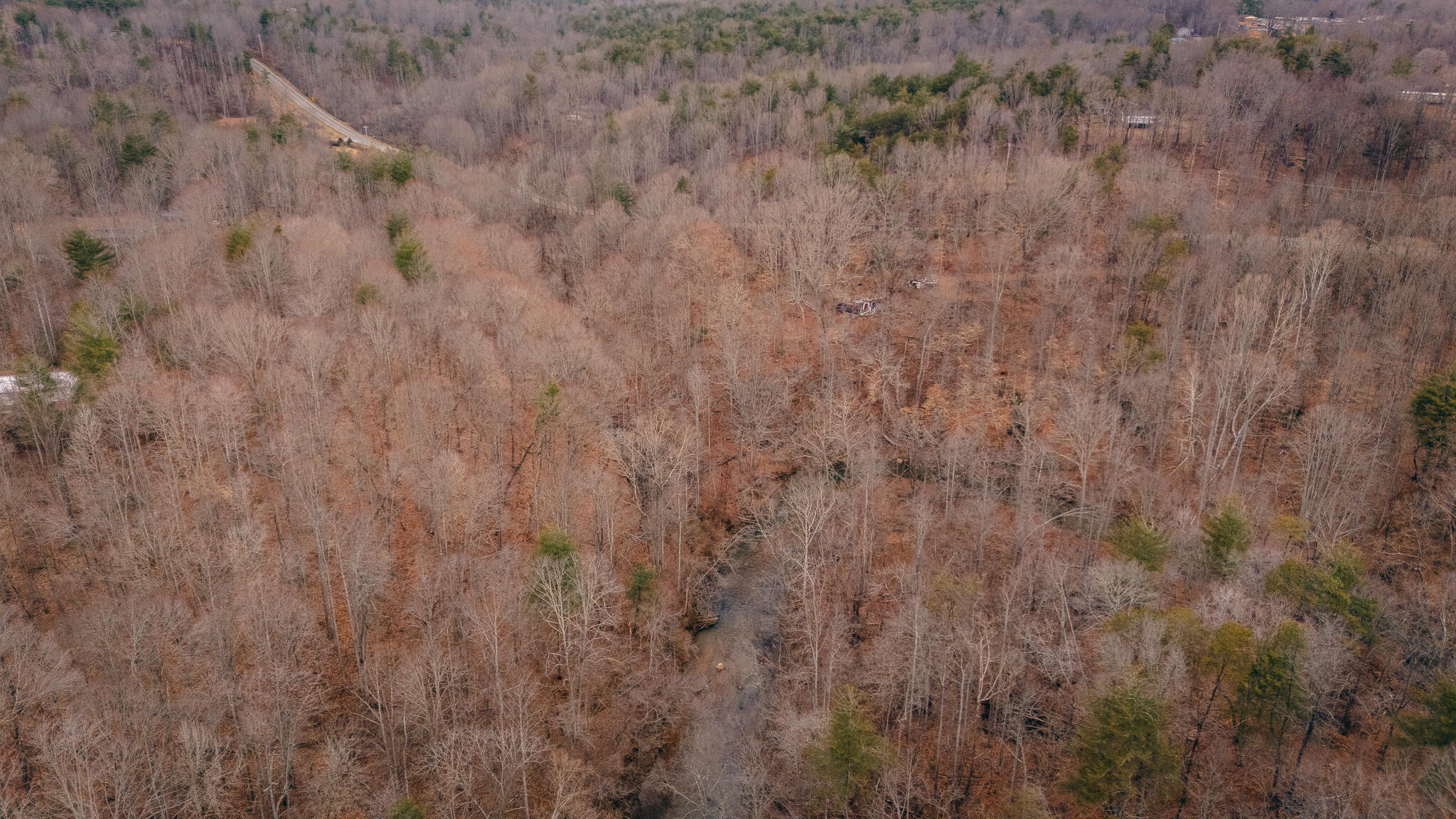 Pepper Rd, Rocky Mount, Virginia image 3