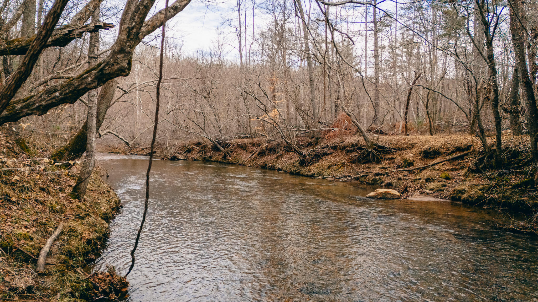 Pepper Rd, Rocky Mount, Virginia image 2