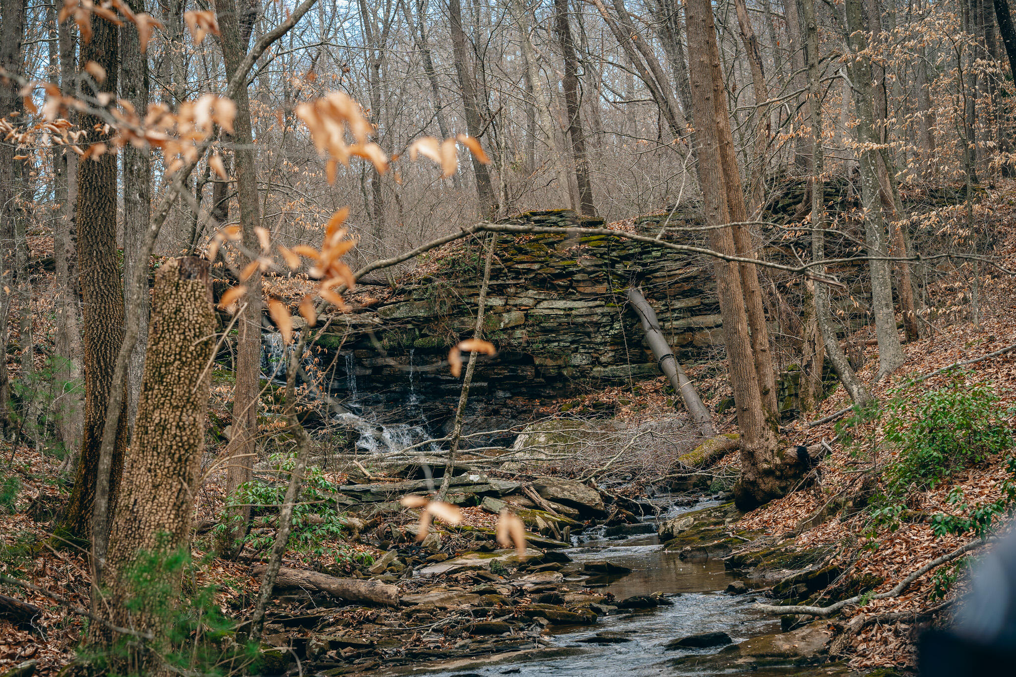 Pepper Rd, Rocky Mount, Virginia image 8