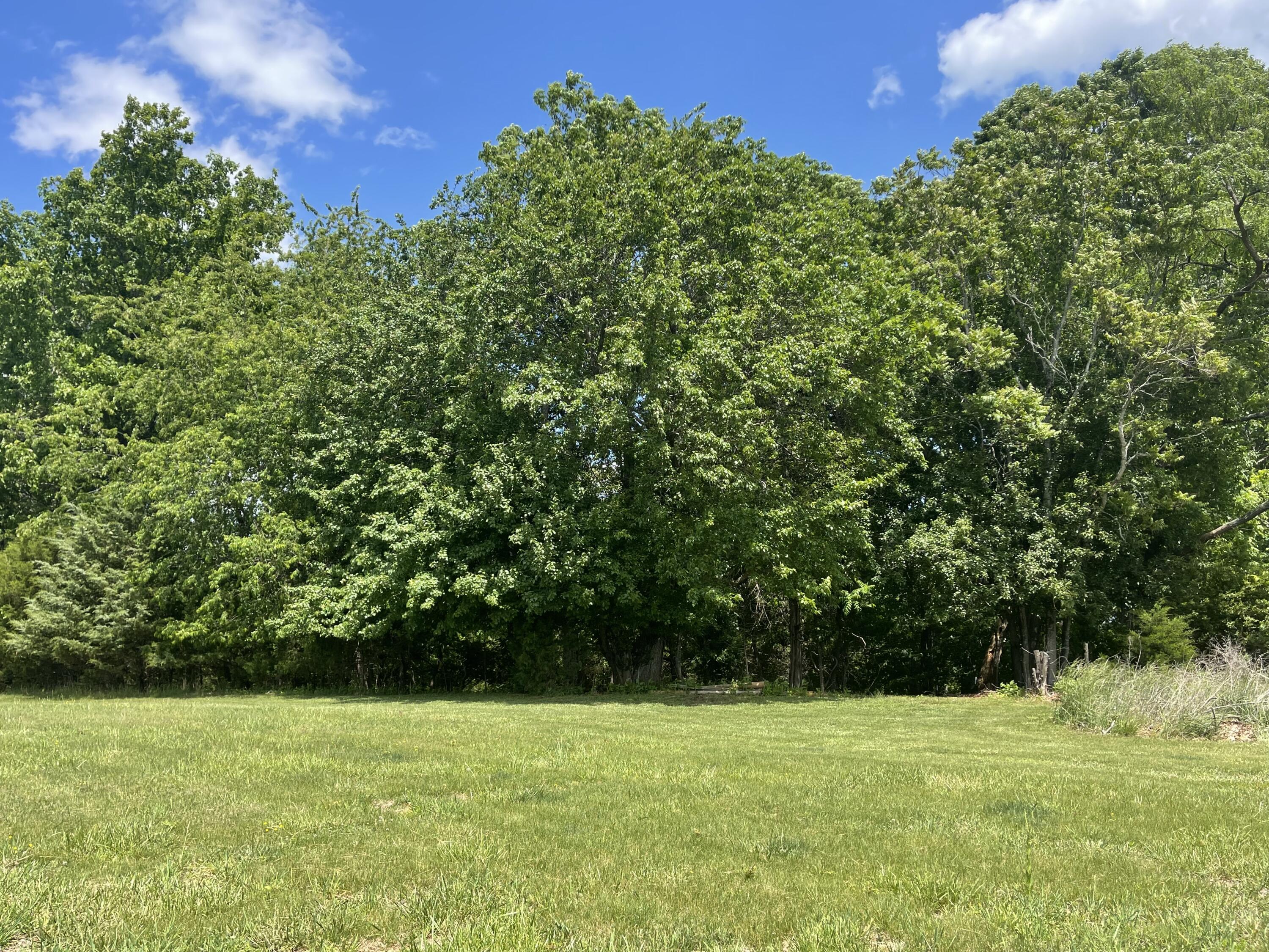 Virginia Byway, Bedford, Virginia image 7