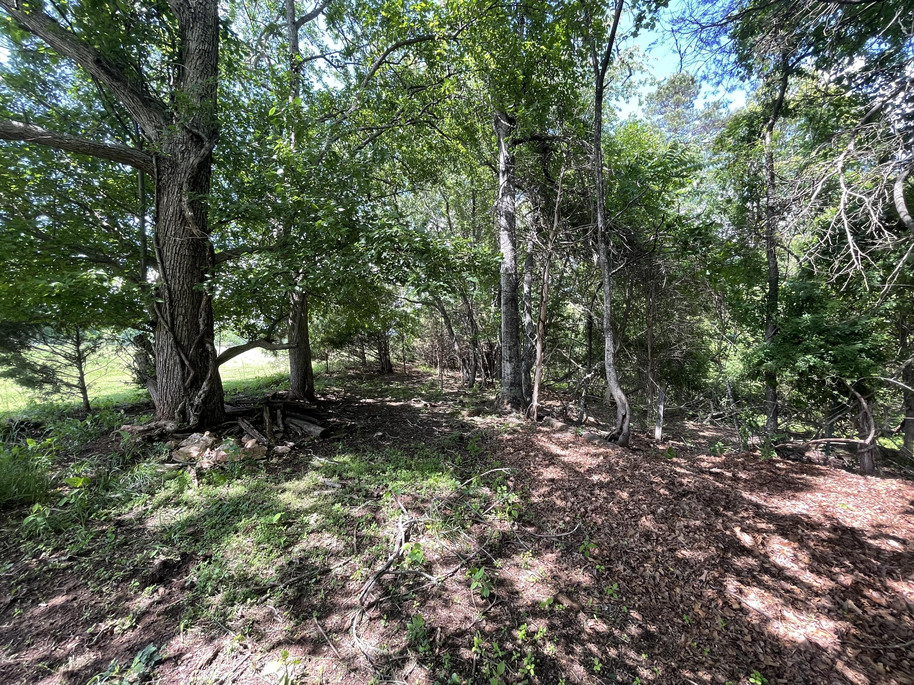 Virginia Byway, Bedford, Virginia image 8