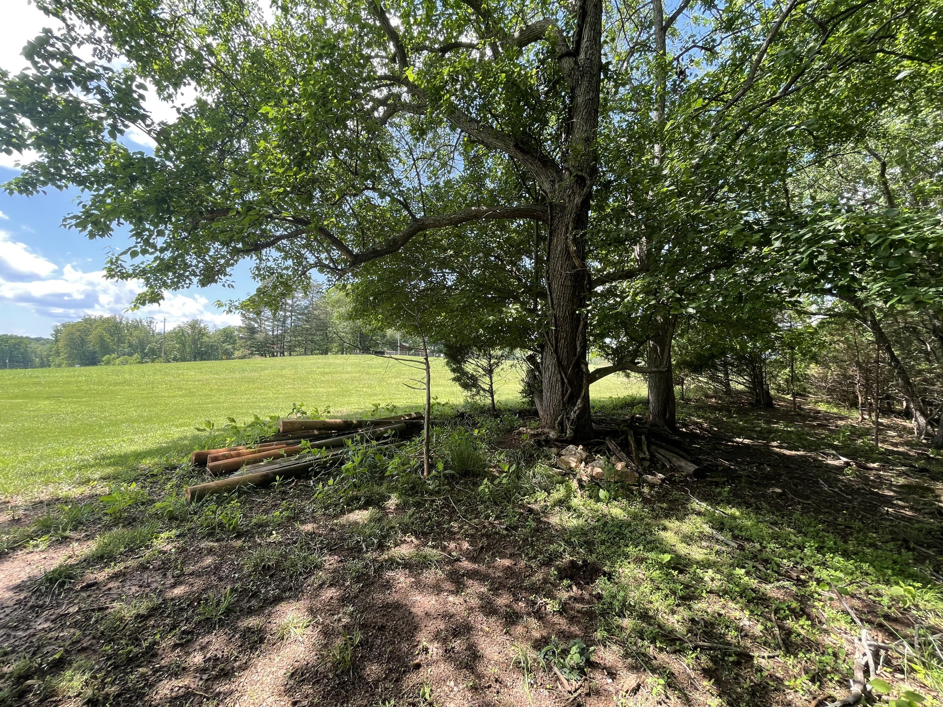 Virginia Byway, Bedford, Virginia image 9