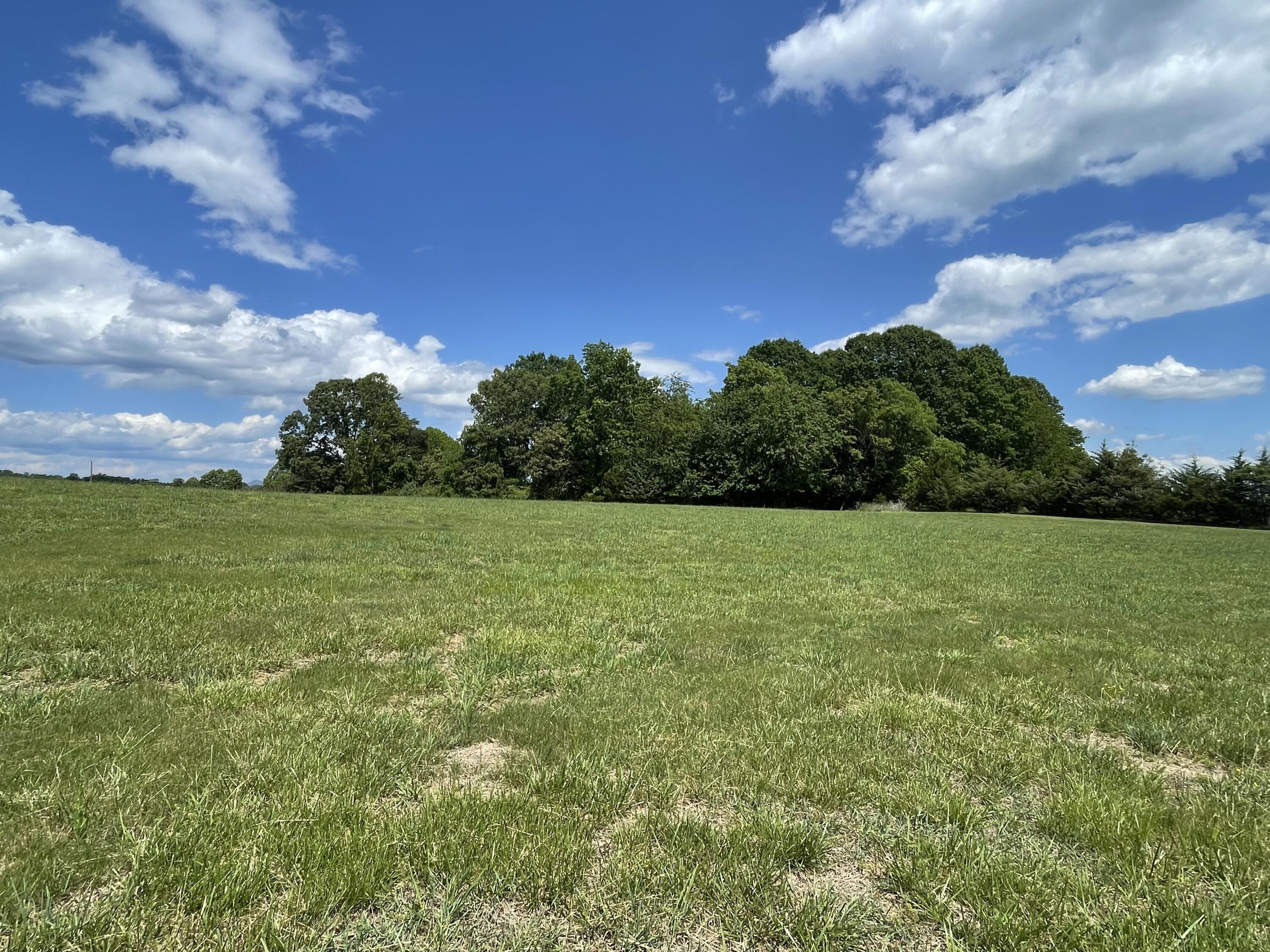 Virginia Byway, Bedford, Virginia image 6