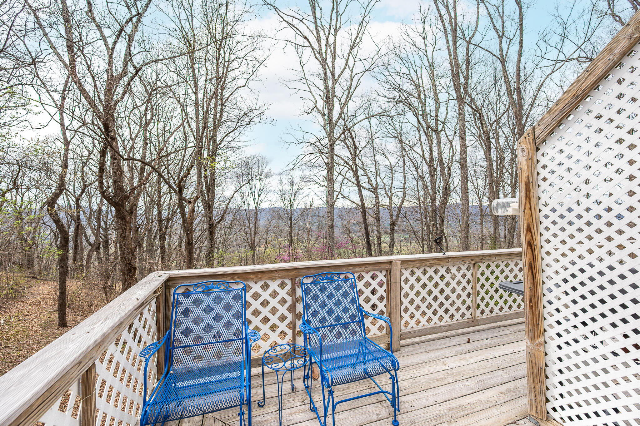 4404 Murray Hollow Rd, Thaxton, Virginia image 23