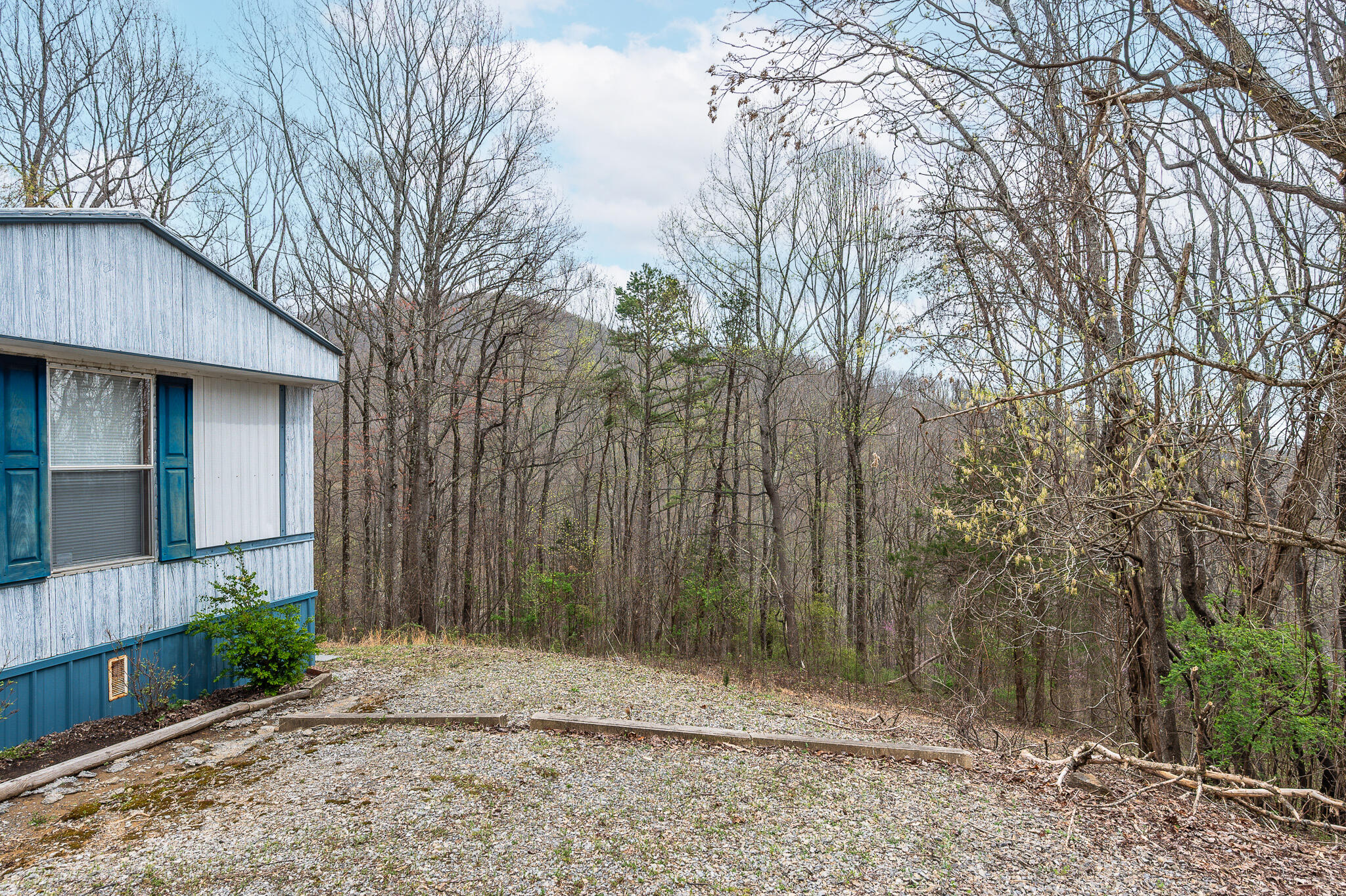 4404 Murray Hollow Rd, Thaxton, Virginia image 40