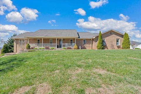 Homes For Sale - 55 Murray Ct<br/> Roanoke, VA 24019