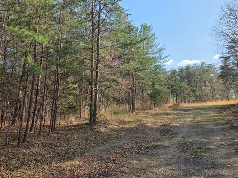 Vacant Land For Sale - 00 Knob Church Rd<br/> Henry, VA 24102