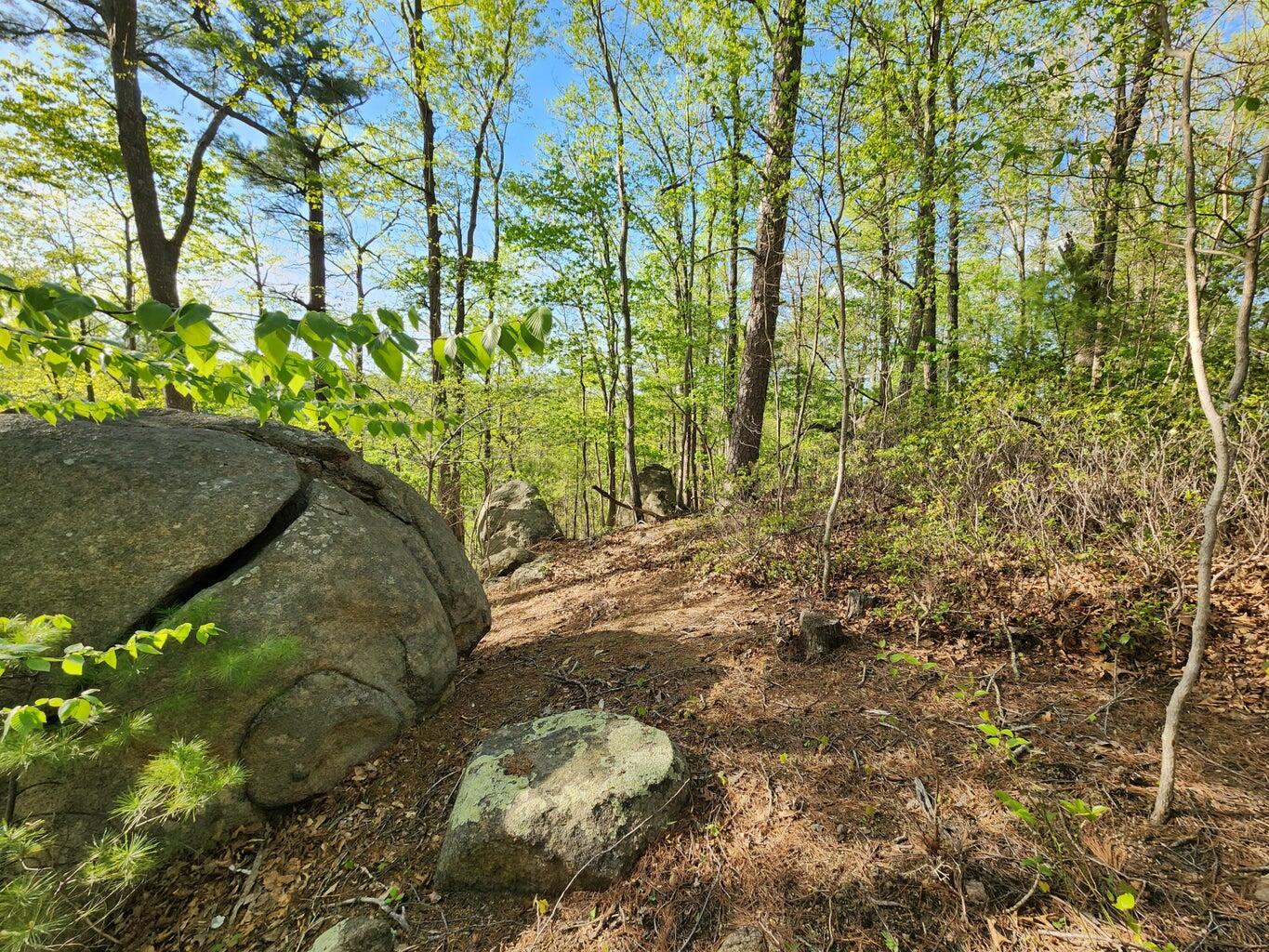 Lot 100 Lakeshore Terrace Rd, Hardy, Virginia image 13