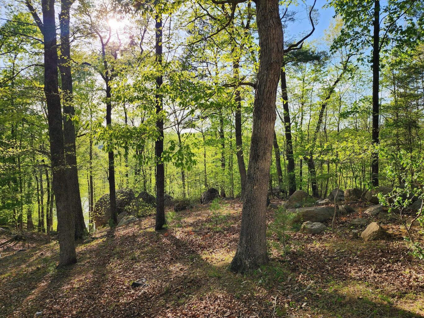 Lot 100 Lakeshore Terrace Rd, Hardy, Virginia image 15