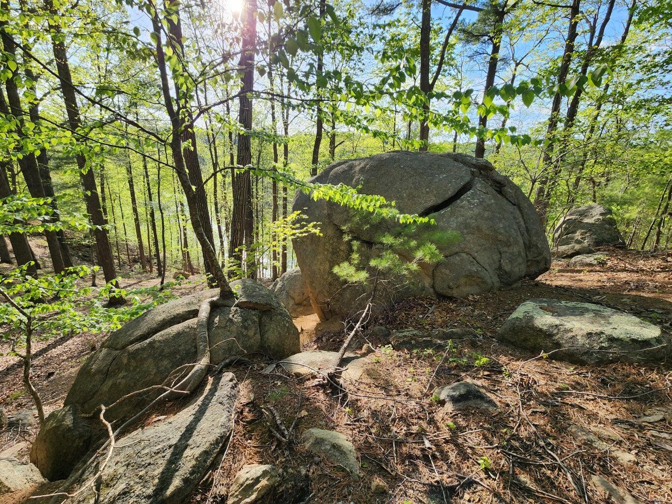 Lot 100 Lakeshore Terrace Rd, Hardy, Virginia image 14