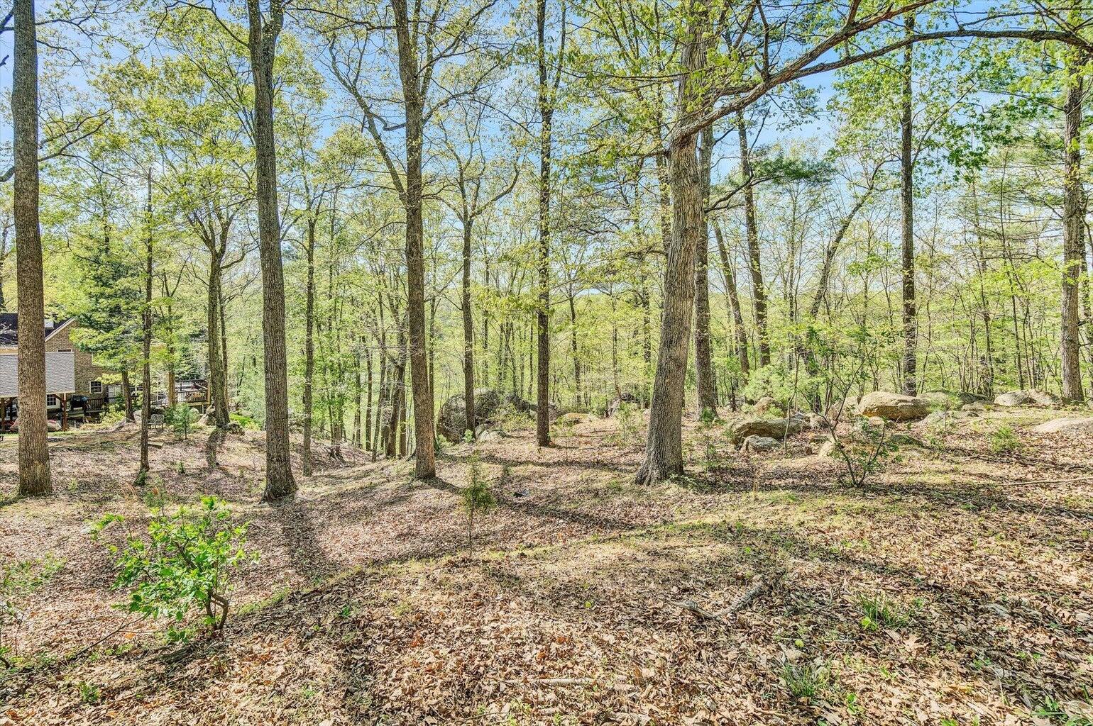 Lot 100 Lakeshore Terrace Rd, Hardy, Virginia image 4
