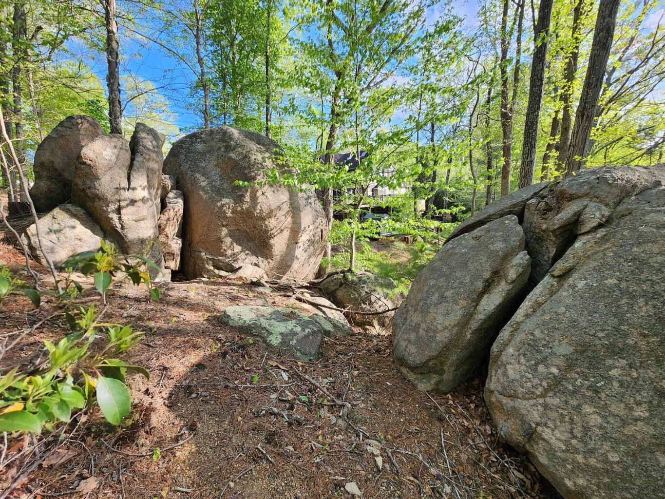 Lot 100 Lakeshore Terrace Rd, Hardy, Virginia image 12