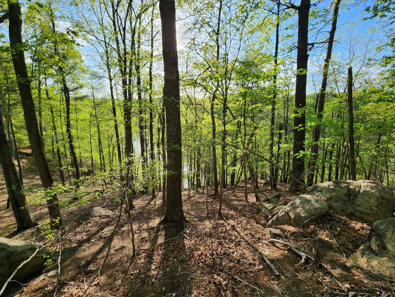 Lot 100 Lakeshore Terrace Rd, Hardy, Virginia image 10