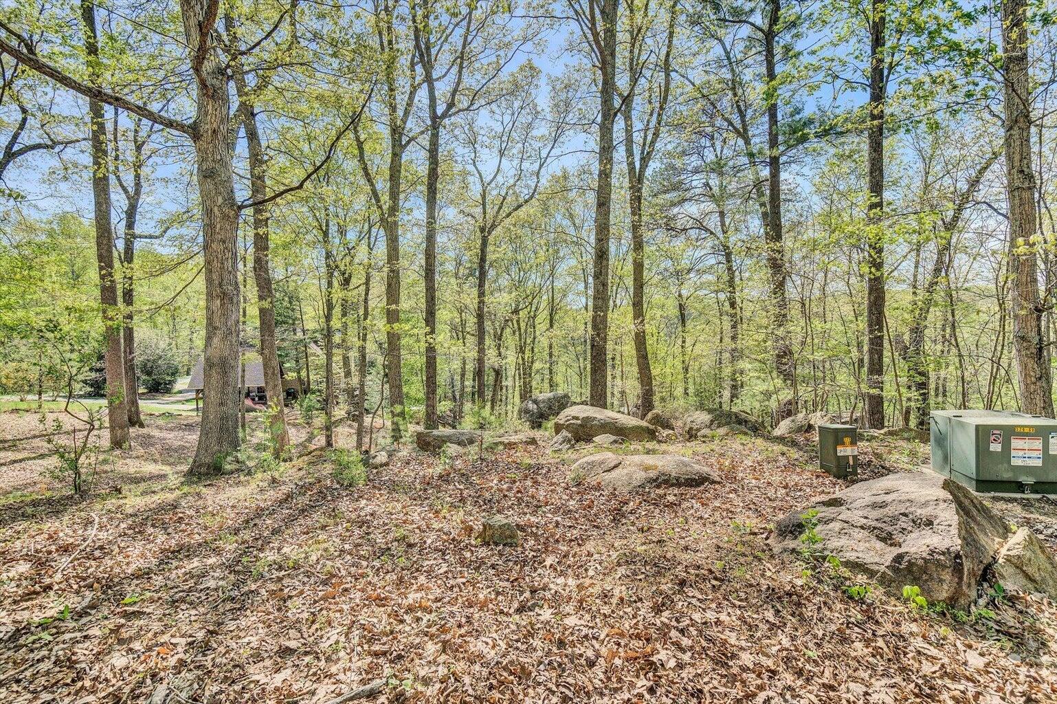 Lot 100 Lakeshore Terrace Rd, Hardy, Virginia image 5