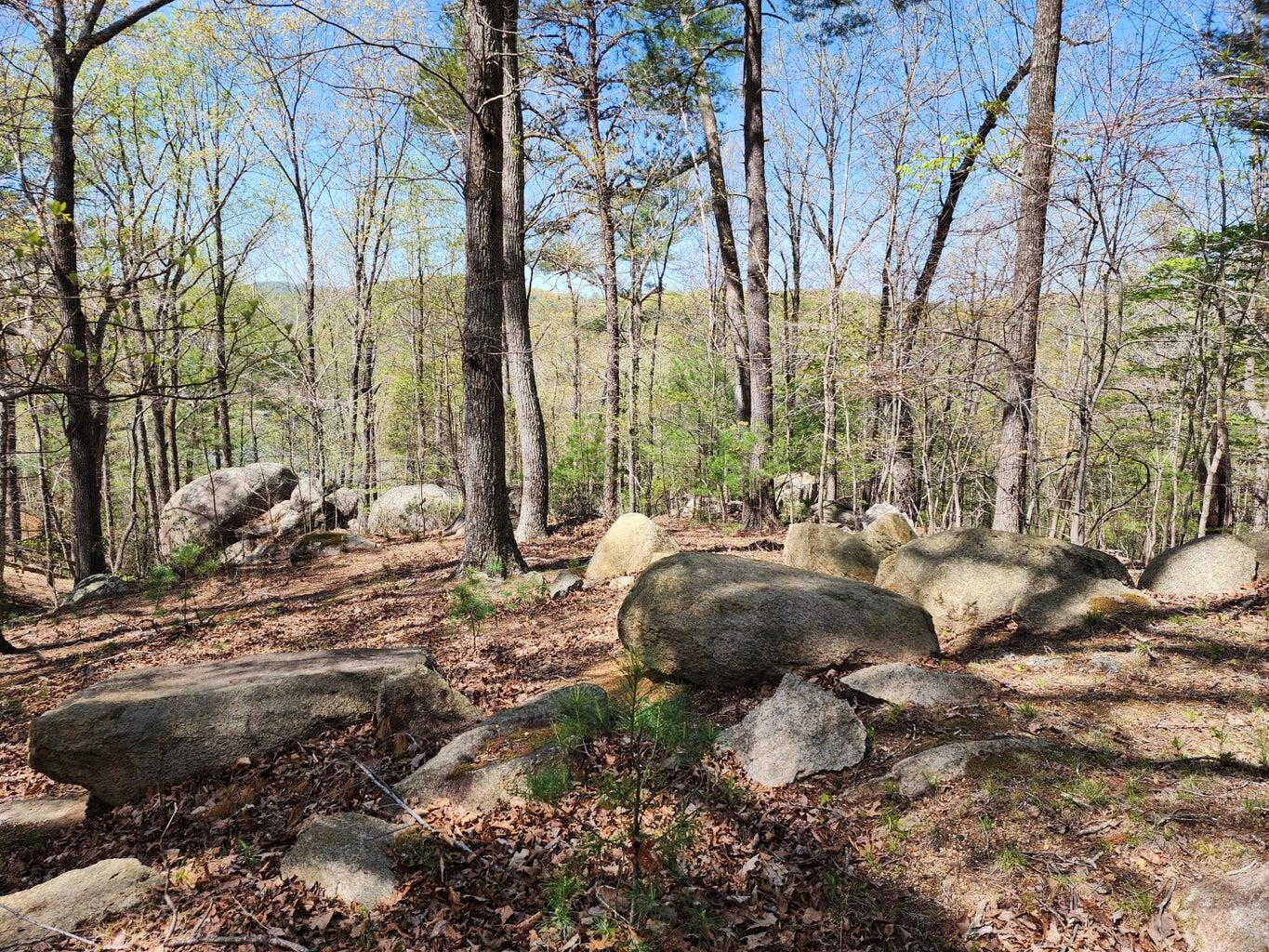 Lot 100 Lakeshore Terrace Rd, Hardy, Virginia image 8