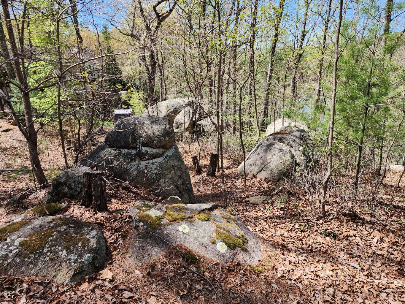 Lot 100 Lakeshore Terrace Rd, Hardy, Virginia image 7