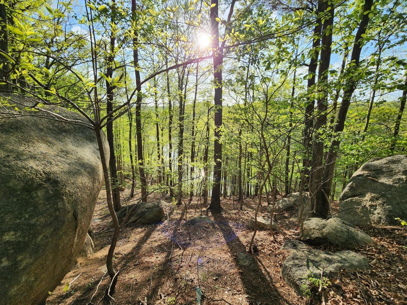 Lot 100 Lakeshore Terrace Rd, Hardy, Virginia image 11