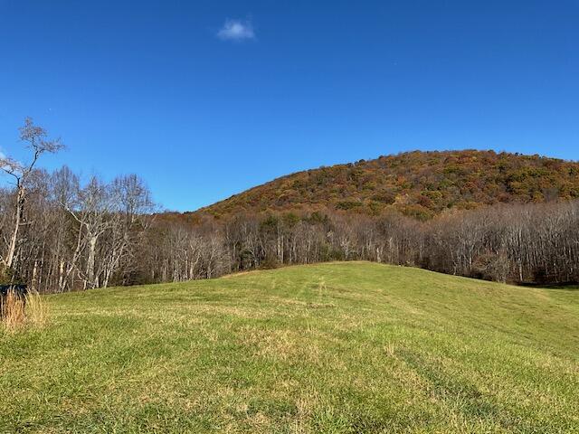 2649 Bore Auger Rd, Blue Ridge, Virginia image 9