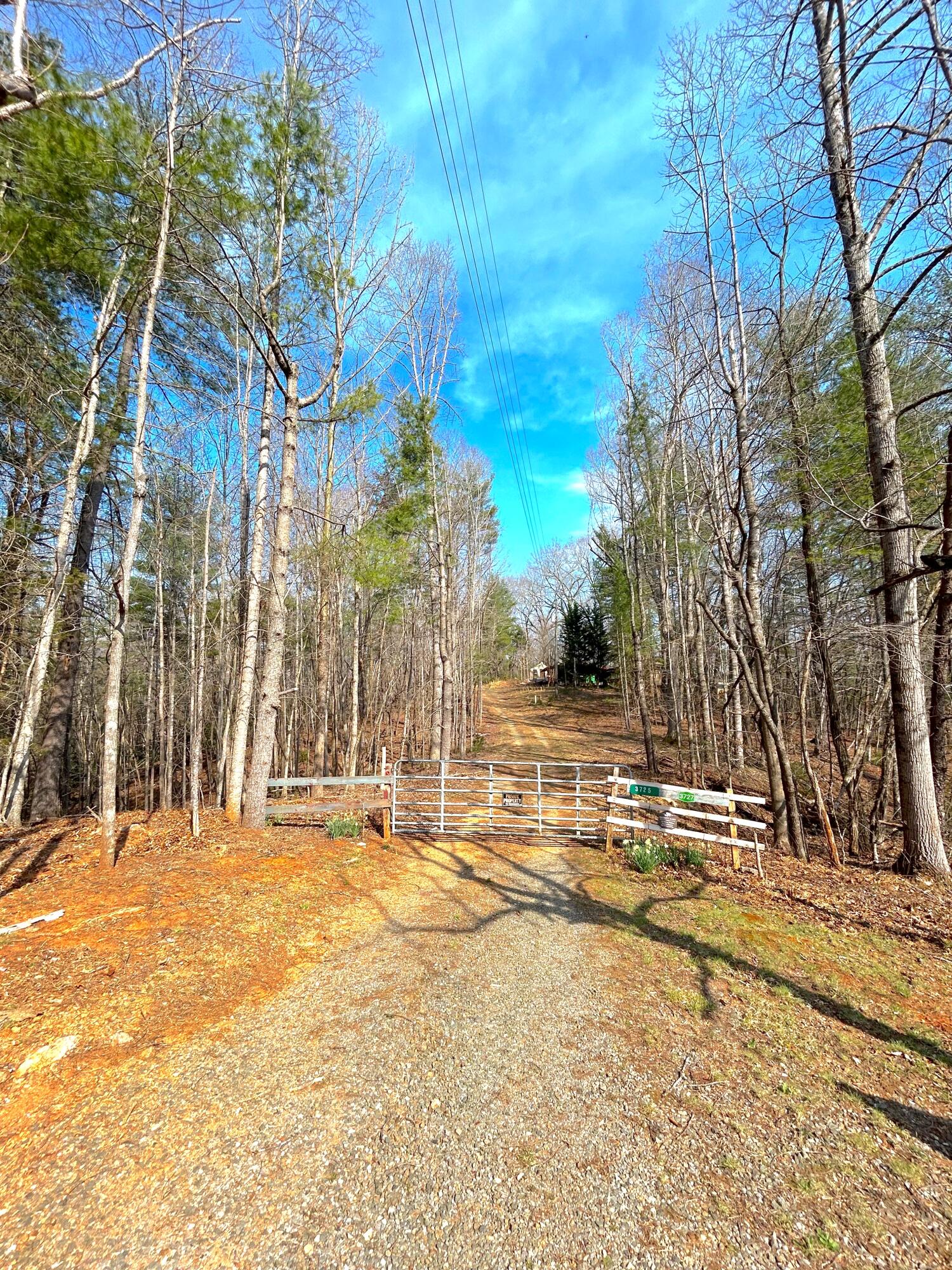 Lot 43/44 Johnnys Ridge Rd, Ferrum, Virginia image 16
