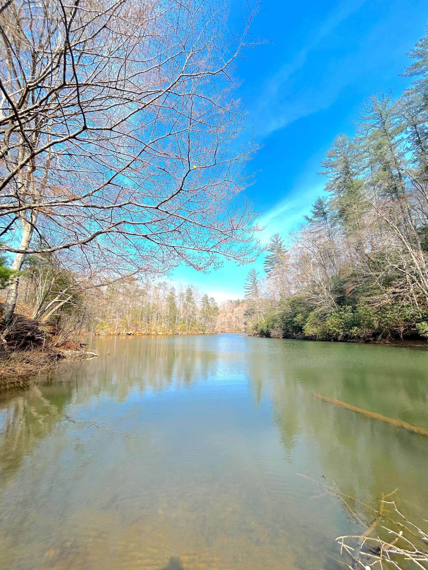 Lot 43/44 Johnnys Ridge Rd, Ferrum, Virginia image 19