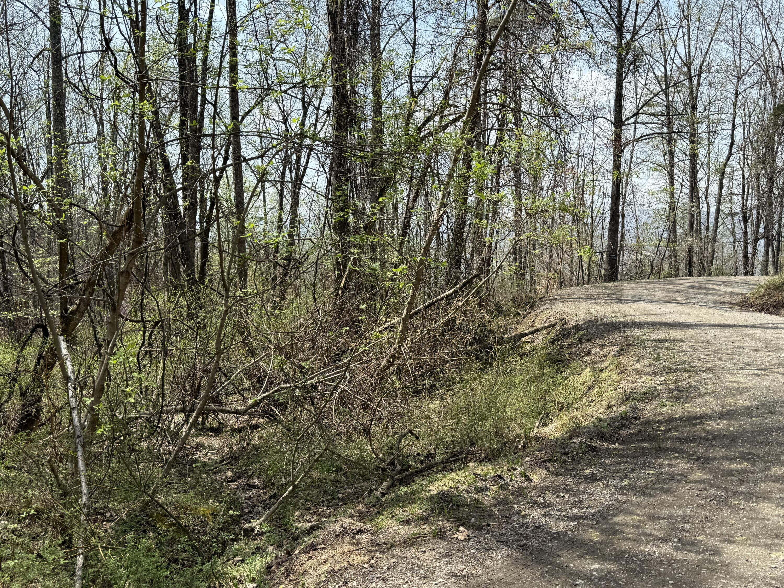 Lot 3 Murray Hollow Rd, Thaxton, Virginia image 6