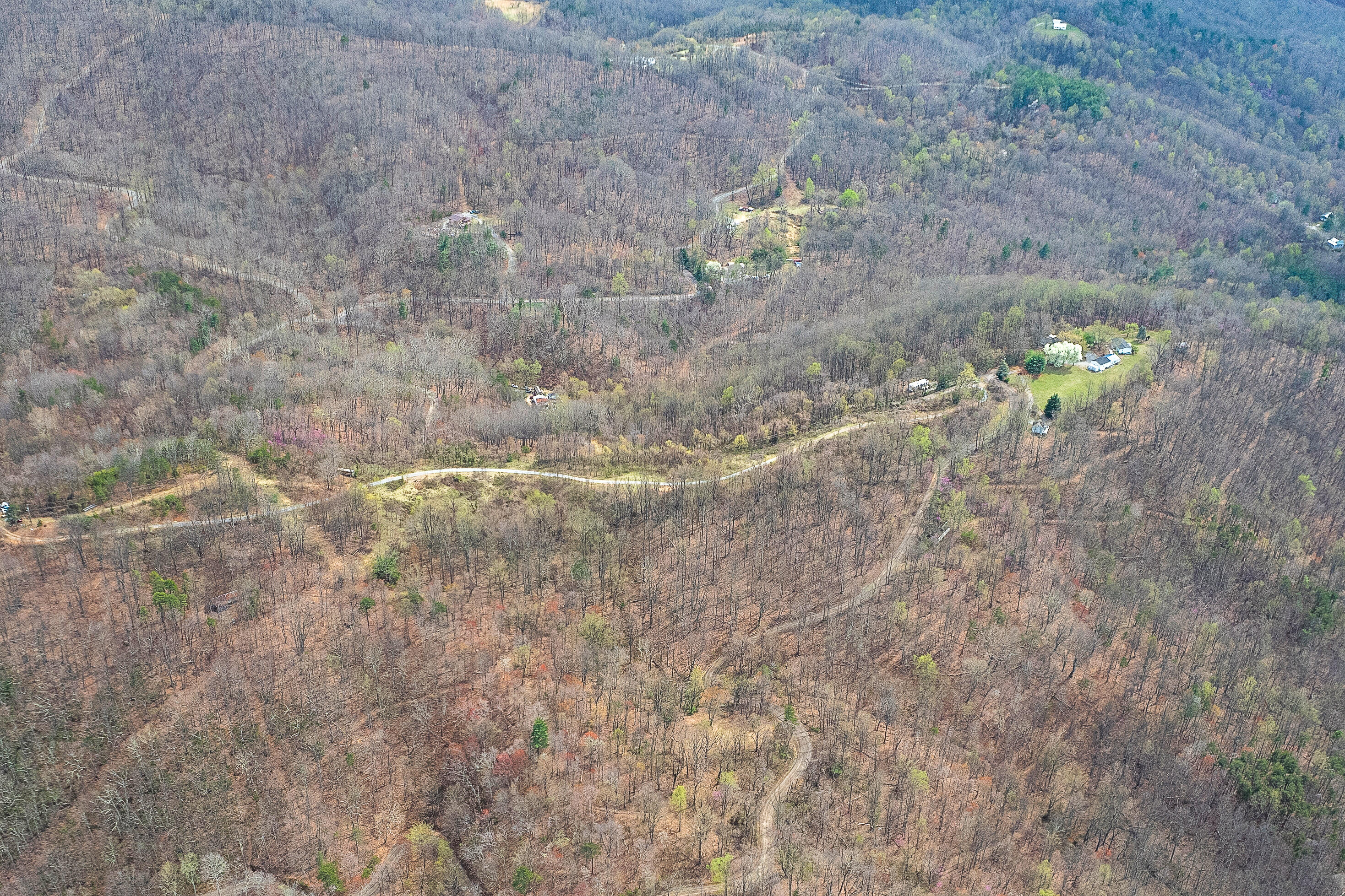 Lot 3 Murray Hollow Rd, Thaxton, Virginia image 11