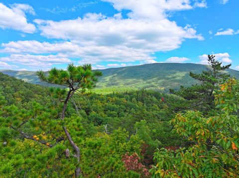 Vacant Land For Sale - TBD Dry Gulch Rd<br/> Wytheville, VA 24382