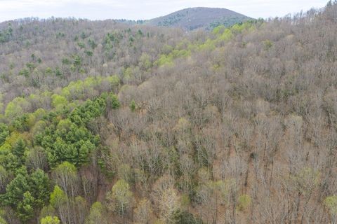 Vacant Land For Sale - TBD Cox Store Rd<br/> Floyd, VA 24091