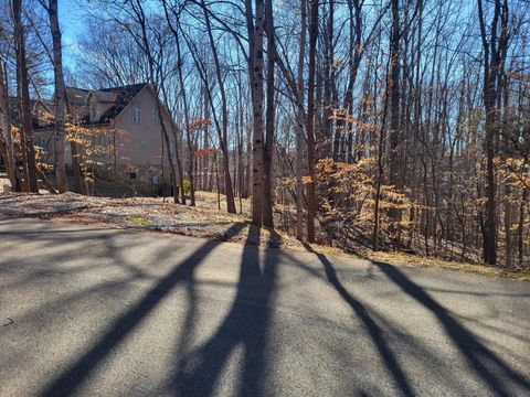 Vacant Land For Sale - Ridgeway Ct<br/> Moneta, VA 24121