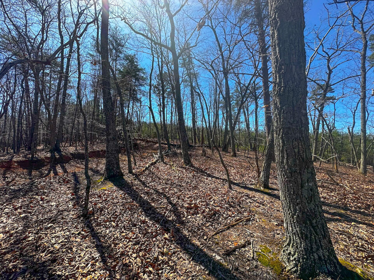 Belvedere Dr, Fieldale, Virginia image 11