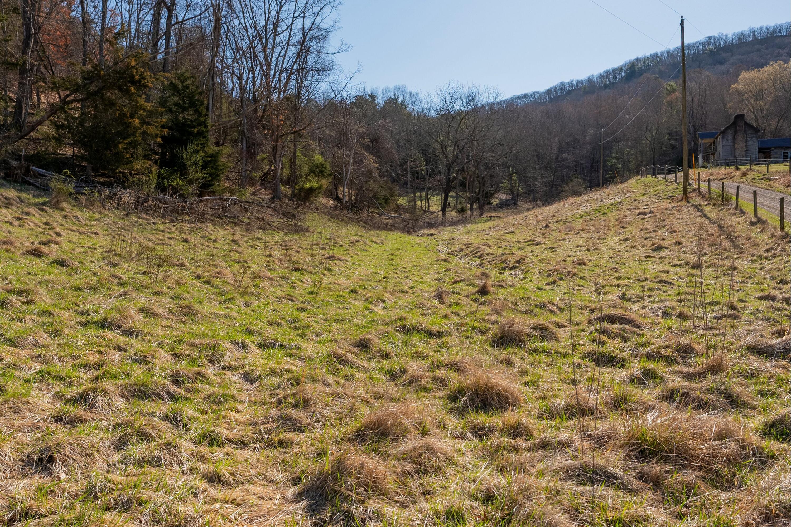 1551 Springdale Rd, Pearisburg, Virginia image 30